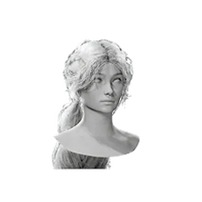 Double Braid White Haircut