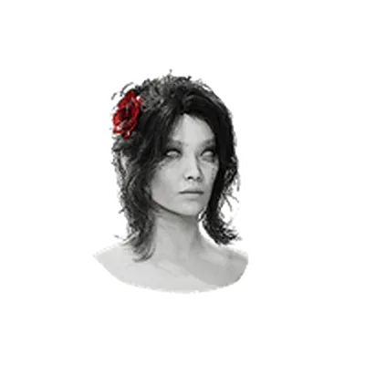 Flowers Haircut