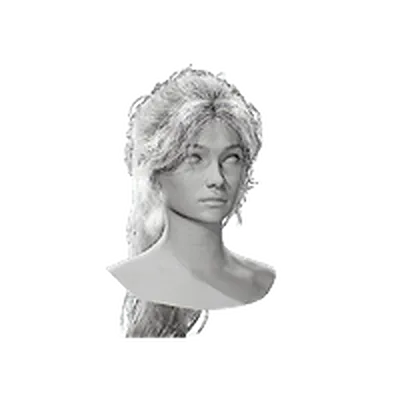 Ponytail Haircut