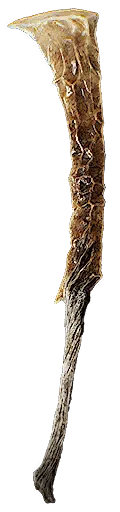 Gaulteram