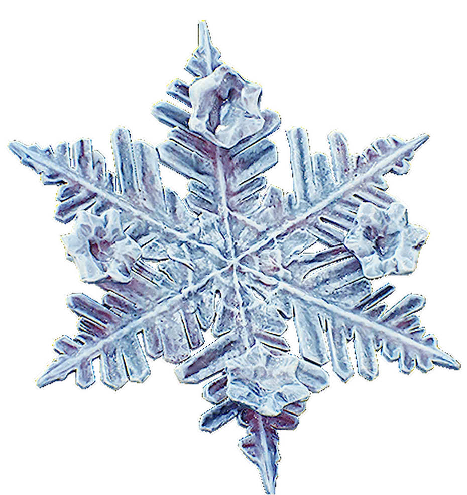 Snowim